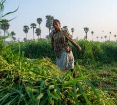 Annual report Dr.Reddys Foundation 2022